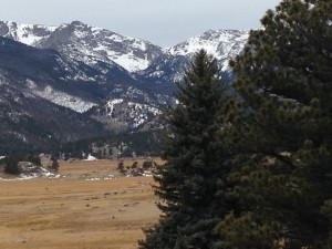 A view of meadow and mountain inside Rocky Mountain National Park
