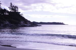 Chesterman's Beach